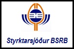 Styrktarsjóður BSRB