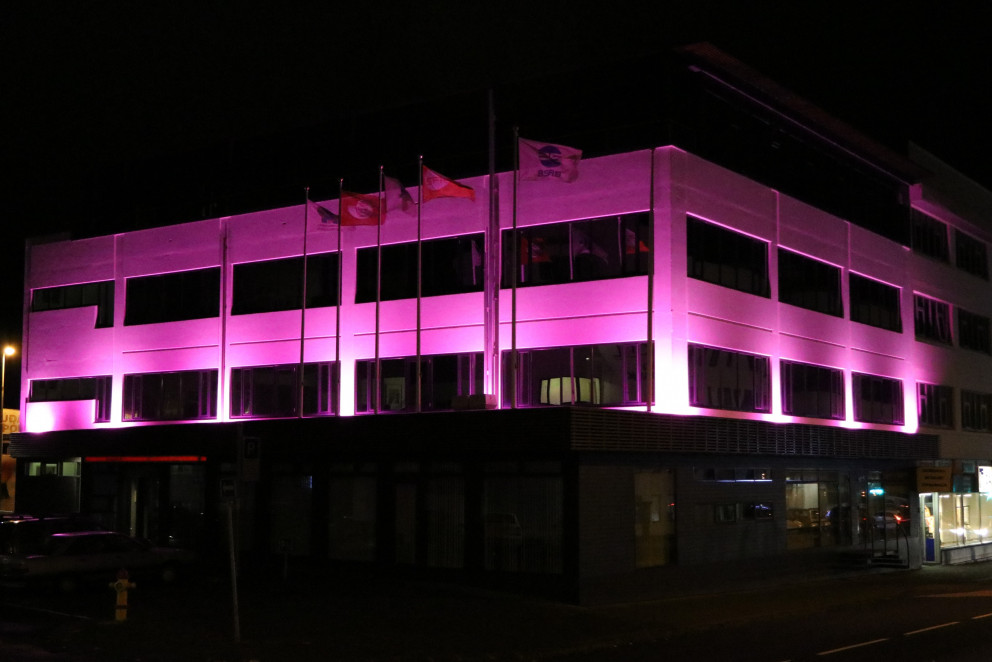 Öflugir ljóskastarar baða BSRB-húsið með bleikum lit út októbermánuð.
