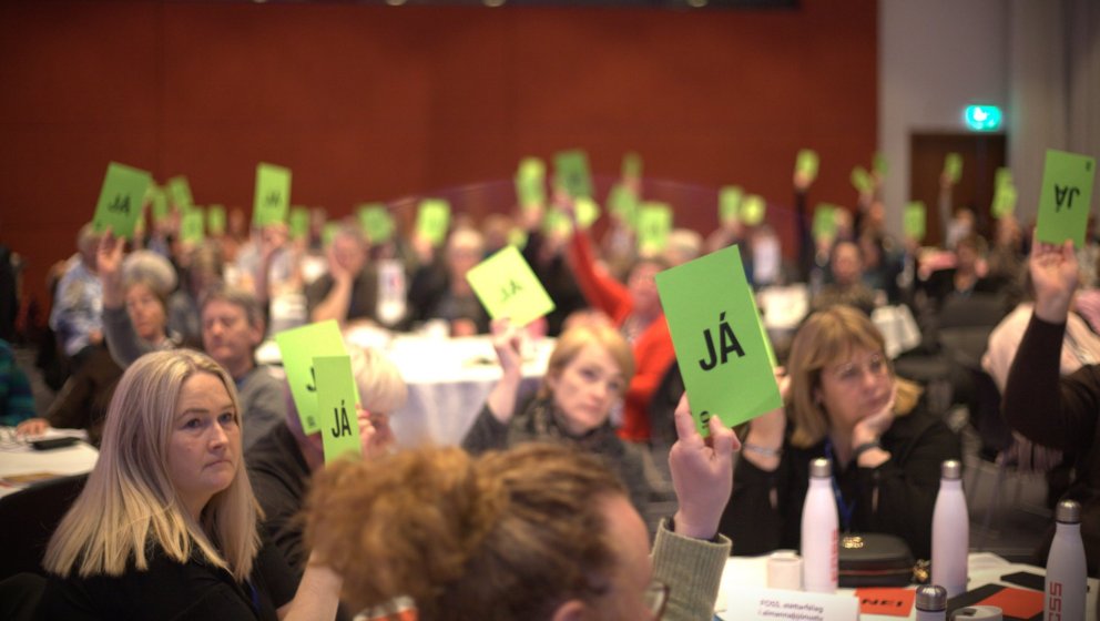 Málefnastarf á 47. þingi BSRB