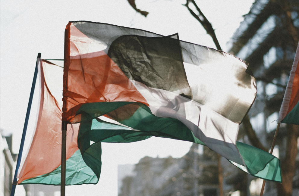 Palestínski fáninn