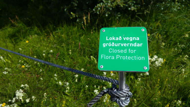 Verja þarf viðkvæman gróður ágangi ferðamanna.
