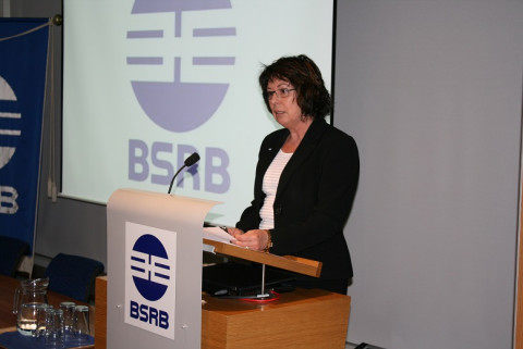 Ávarps formanns BSRB og erindi Rúnars