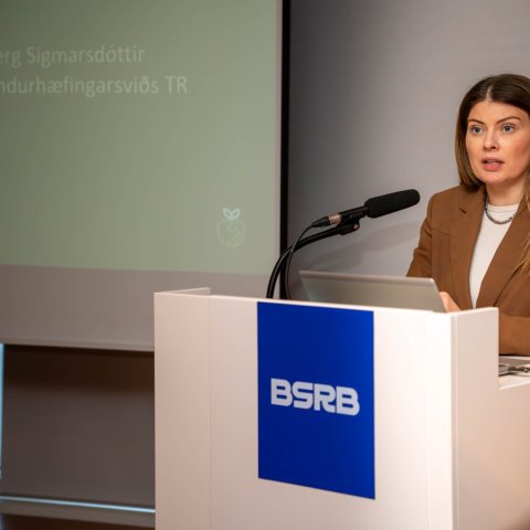Svanbjörg Sigmarsdóttir, sviðsstjóri endurhæfingarsviðs Tryggingastofnunnar