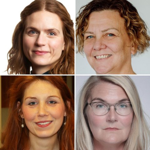 Dagný Aradóttir Pind, lögfræðingur BSRB, Eva Hjörtína Ólafsdóttir, sérfræðingur í kjaramálum hjá Fíh, Henný Hinz, aðstoðarframkvæmdastjóri ASÍ, Sigrún Birna Björnsdóttir, sérfræðingur í vinnuumhverfis- og jafnréttismálum hjá KÍ.
