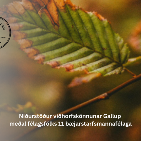 Sveitarfélag ársins 2025