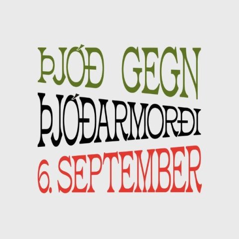 Fjöldafundir fara fram samtímis um land allt