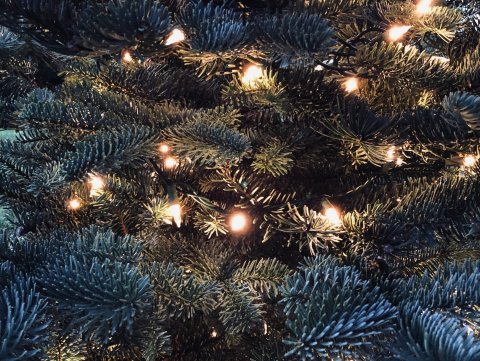 Desemberuppbót er greidd þann 1. desember ár hvert jafnvel þó kjarasamningar séu lausir.