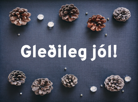Gleðilega jólahátíð!