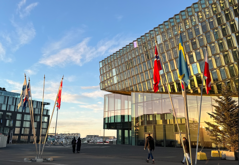 Norðurlandafánum flaggað við Hörpu 1. des