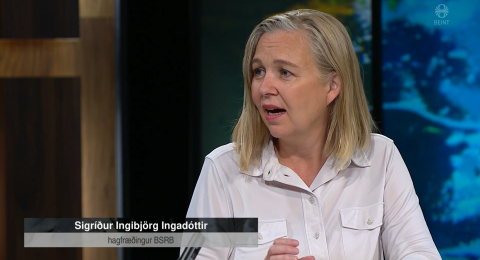 Sigríður Ingibjörg Ingadóttir var í Silfrinu í Sjónvarpinu á sunnudag. (Mynd/RÚV)