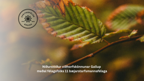 Sveitarfélag ársins 2025