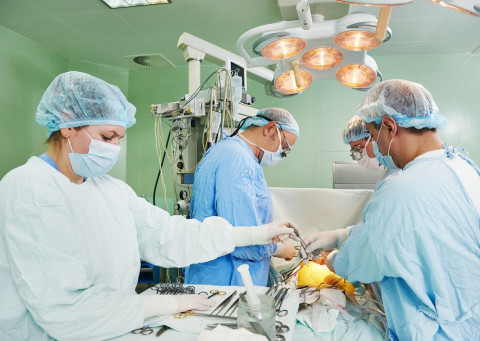 Þak á greiðslur lækkað verulega