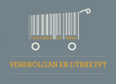 Verðbólgan er dýrkeypt